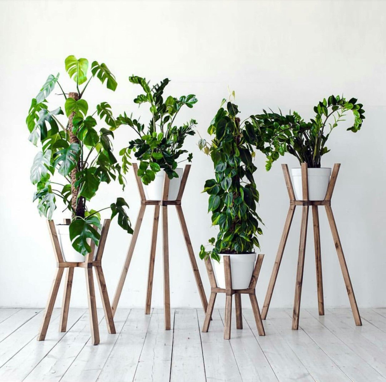 Напольные цветы в эко стиле