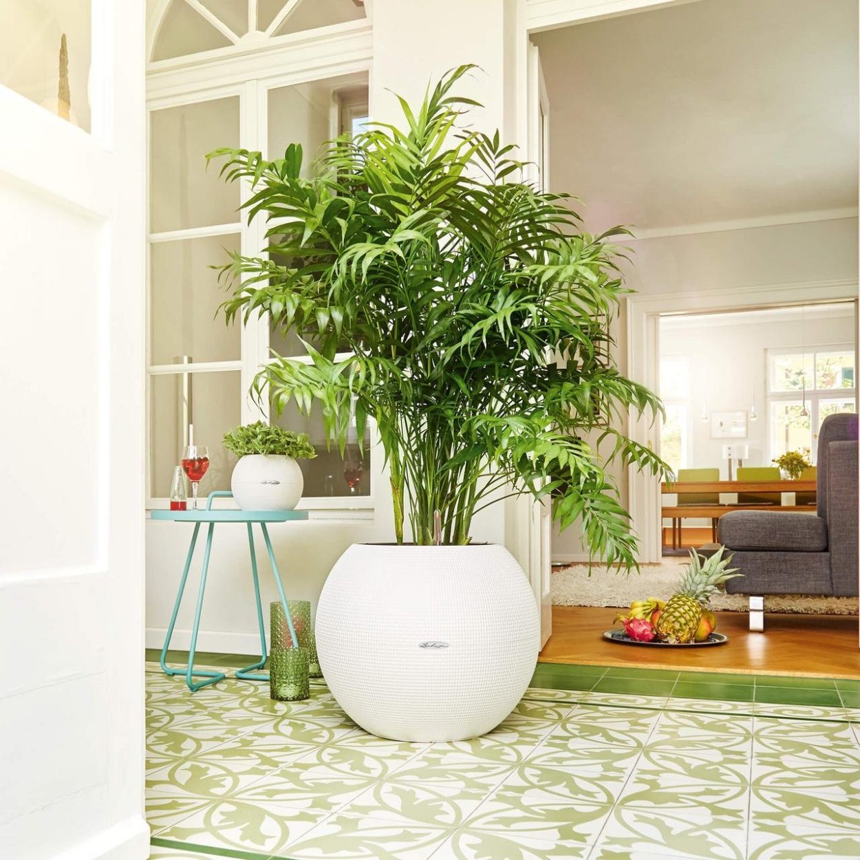 Lechuza cubico Color 30