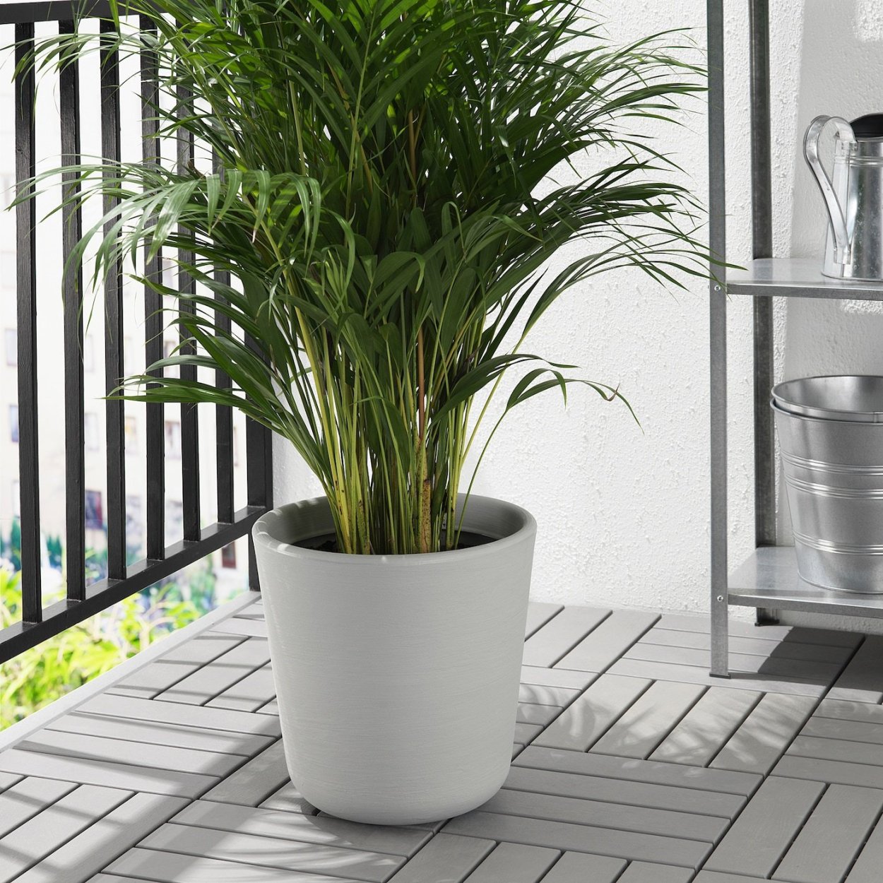 Большие комнатные цветы для спальни