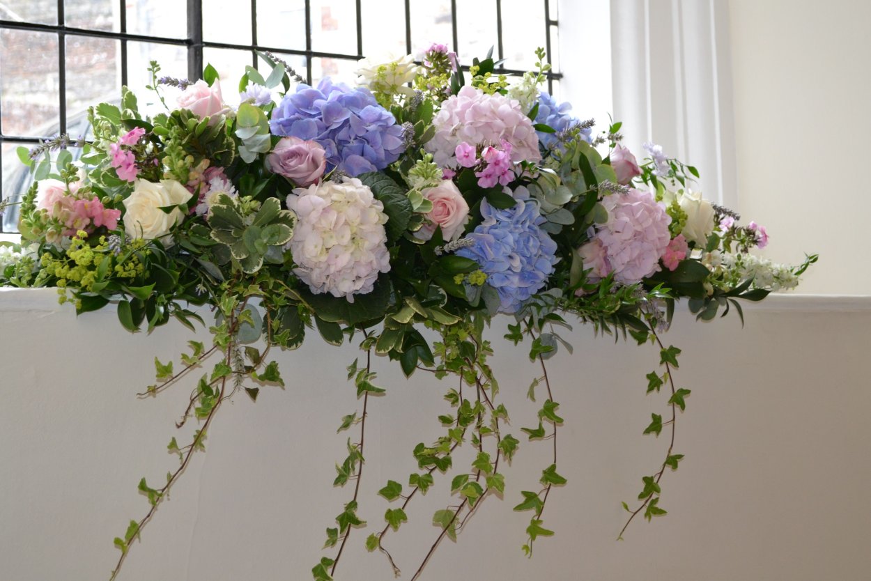 Гортензия Сканди