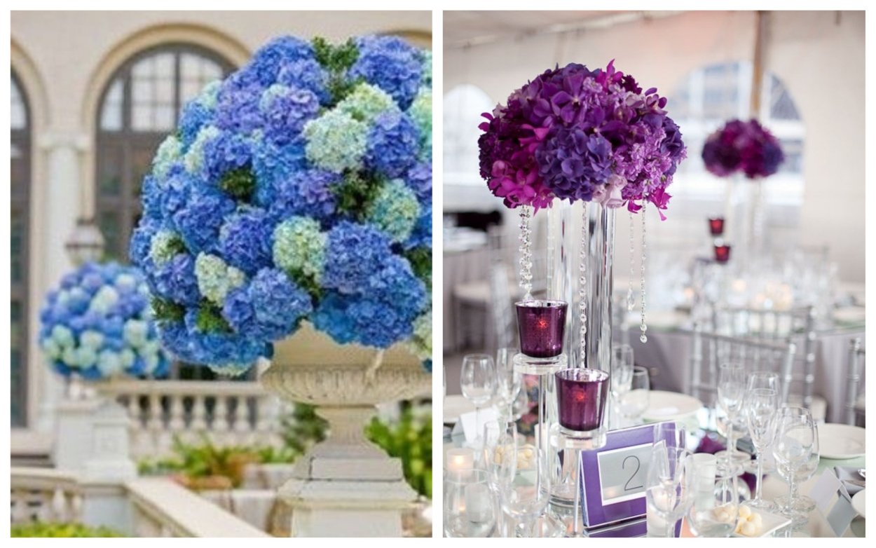 Композиция с гортензией