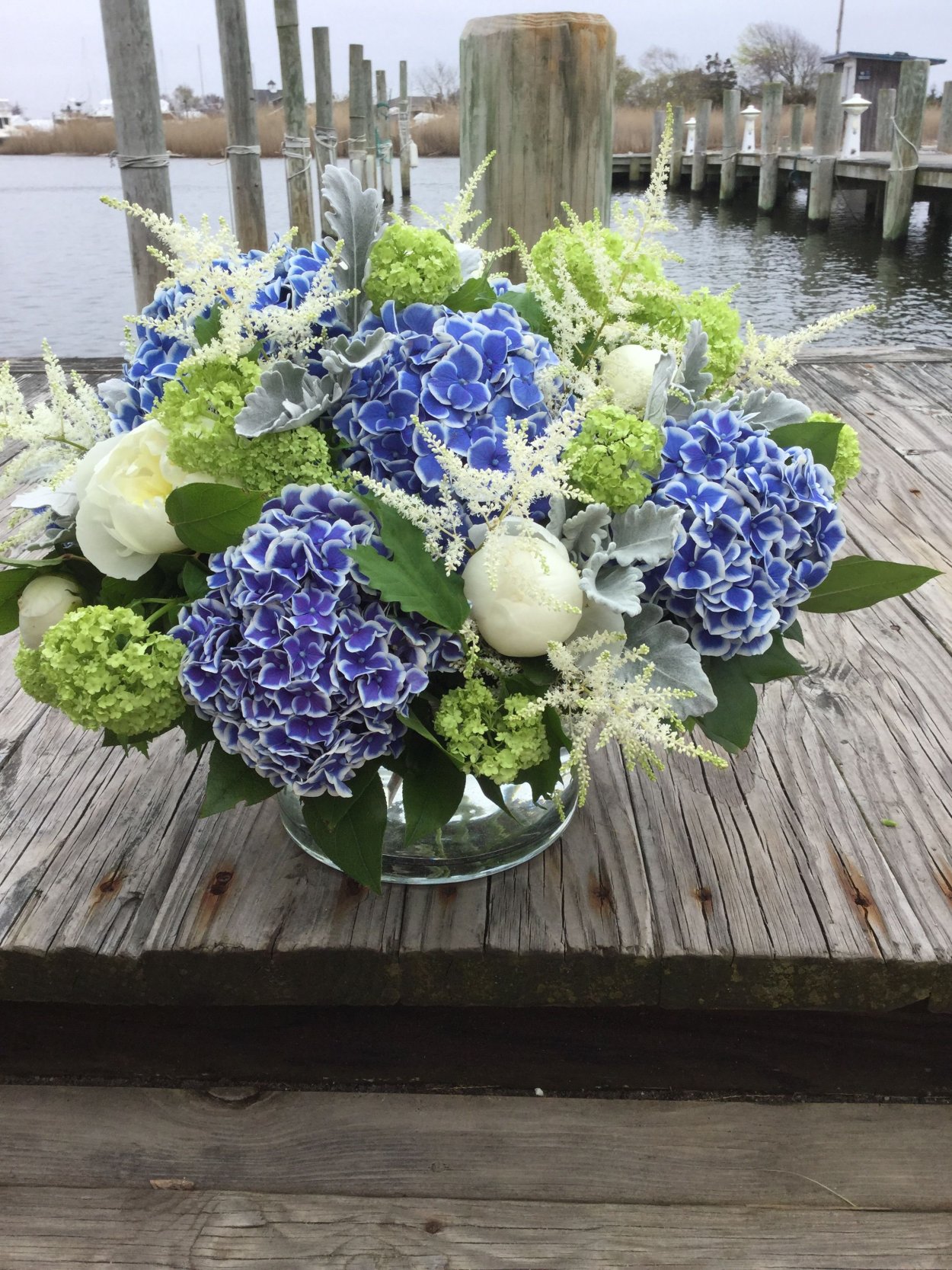 Дельфиниум гортензия эустома