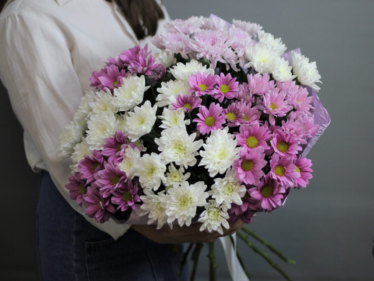 Хризантема кустовая Фиана