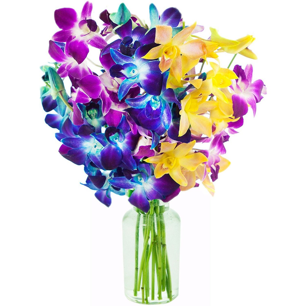 Орхидея Дендробиум синяя букет