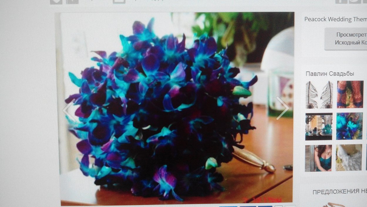 Дендробиум Нобиле орхид