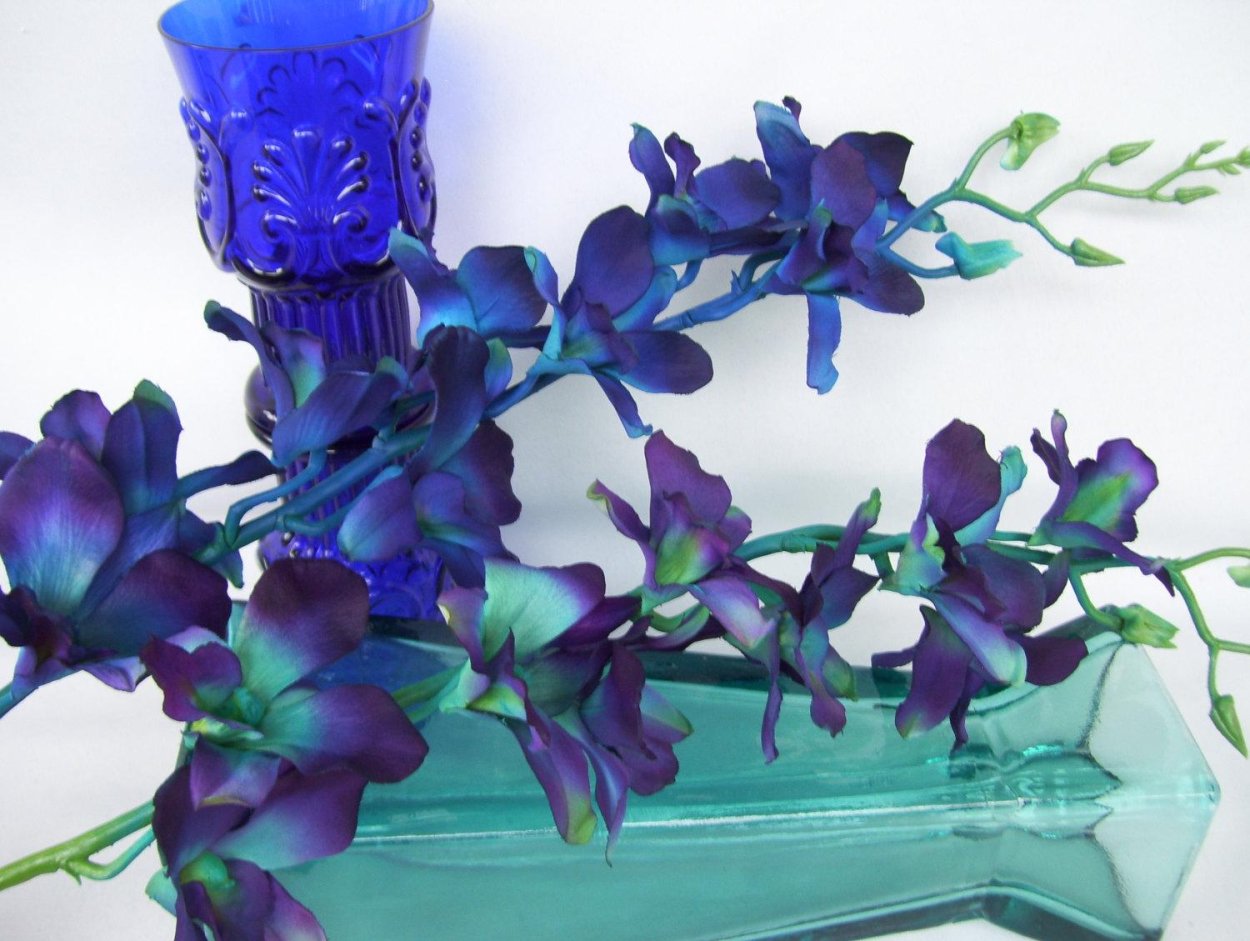 Архидея Дендробиум Нобиле