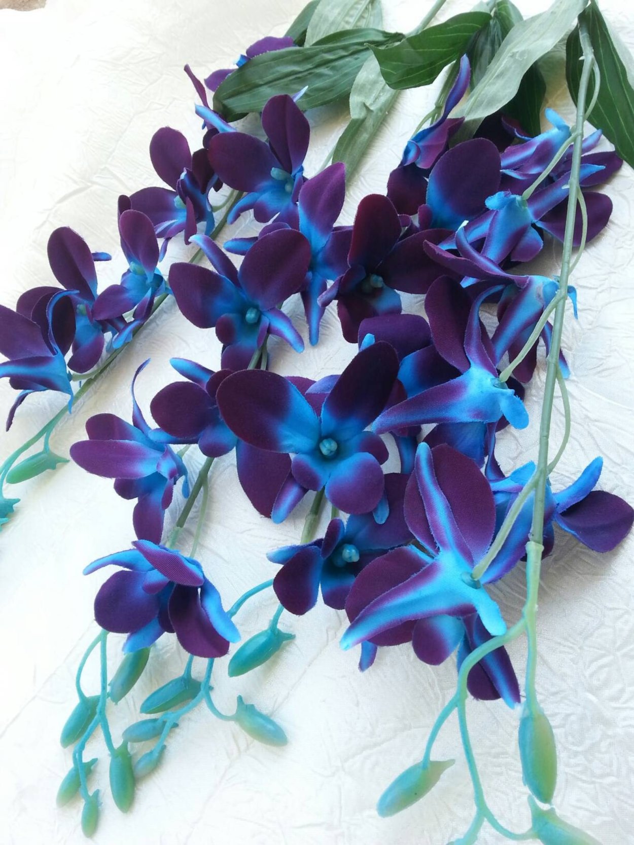 Орхидея Phalaenopsis Manila