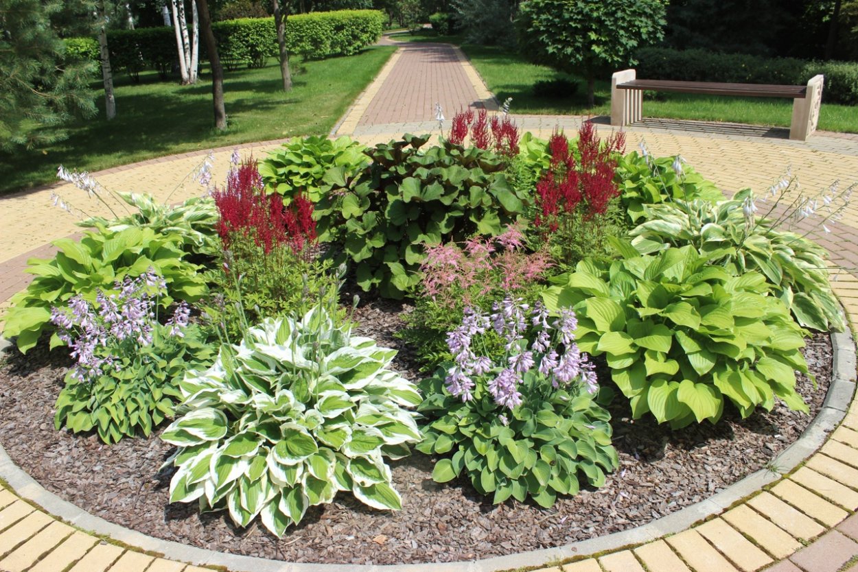 Цветник из многолетников и однолетников