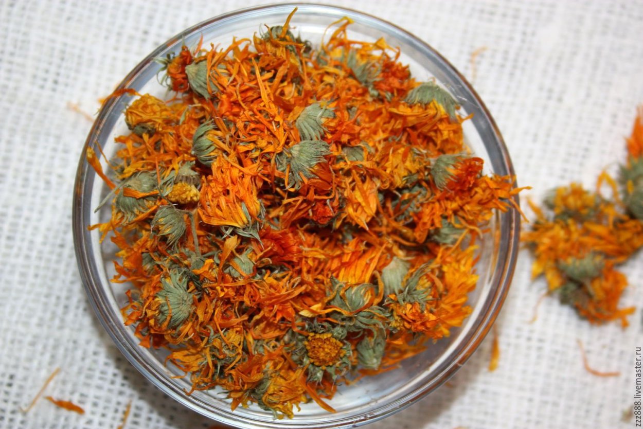 Бархатцы отклоненные Файрбол