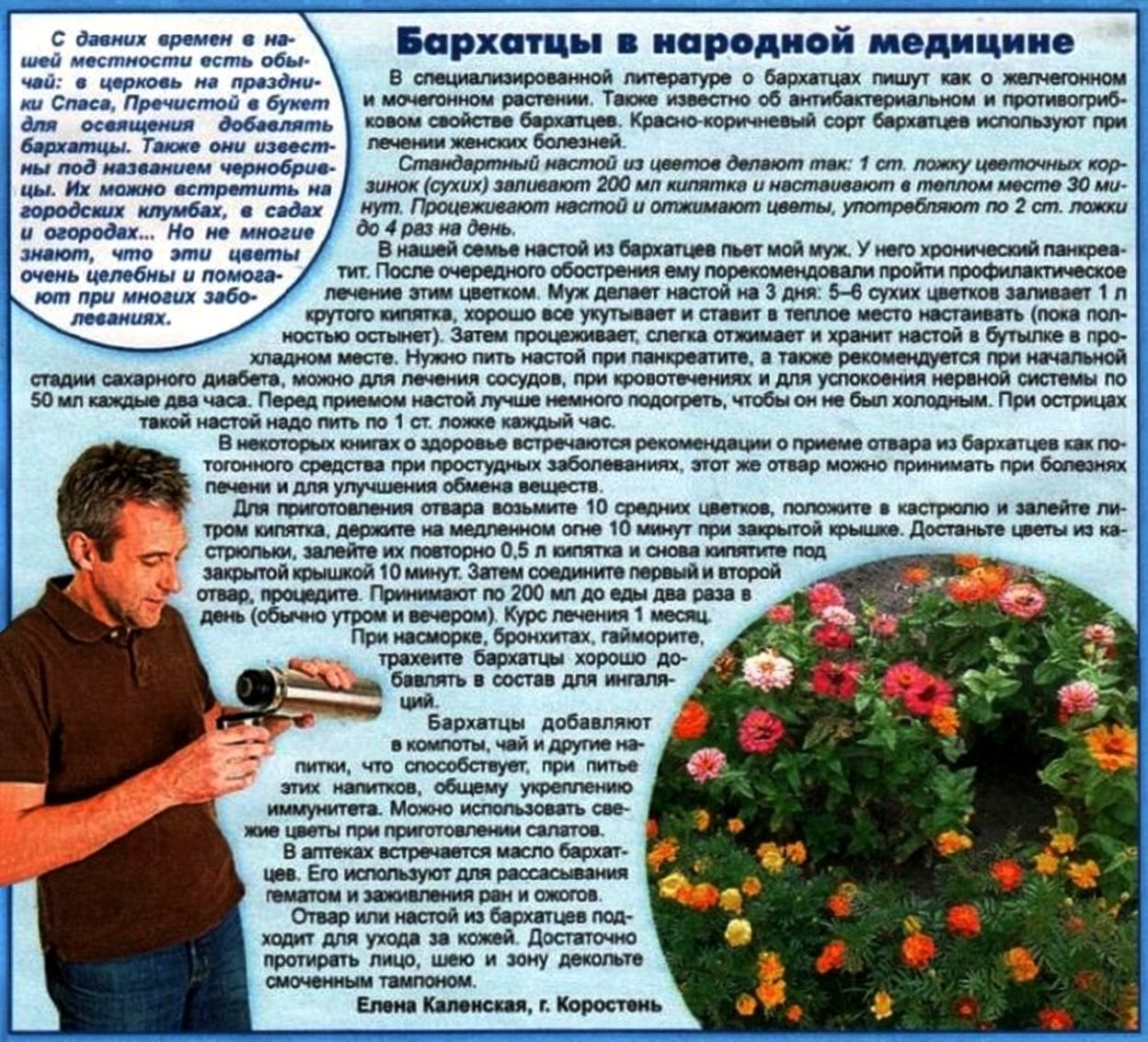 Чернобривцы цветы лечебные