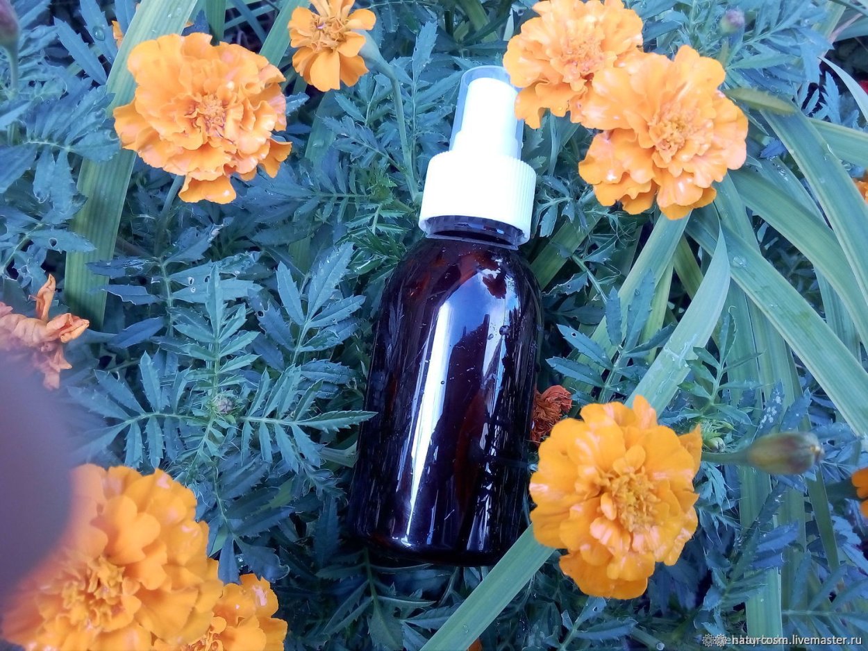 Бархатцы Дикие