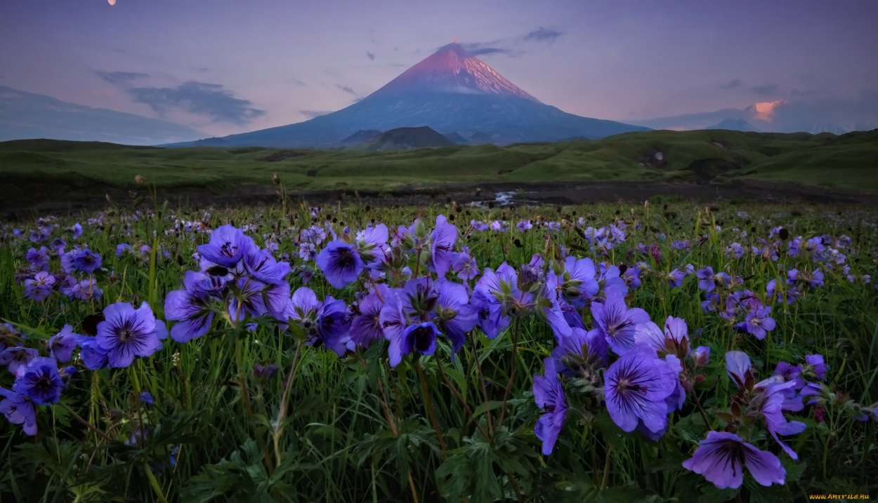 Камчатский вулкан Ключевская сопка