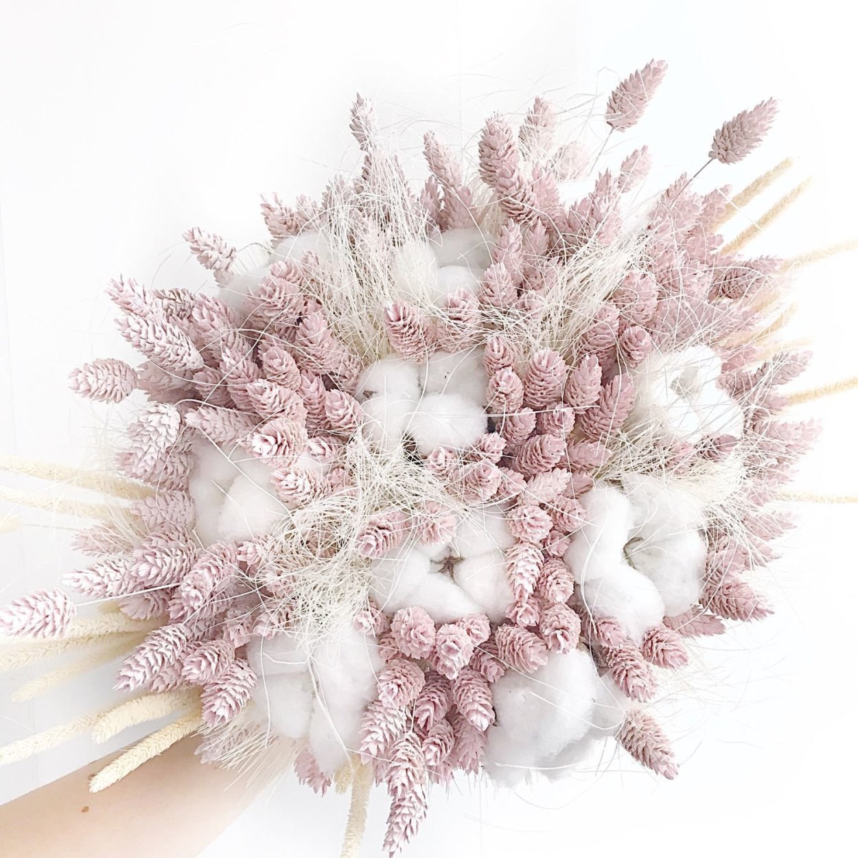 Крымские сухоцветы