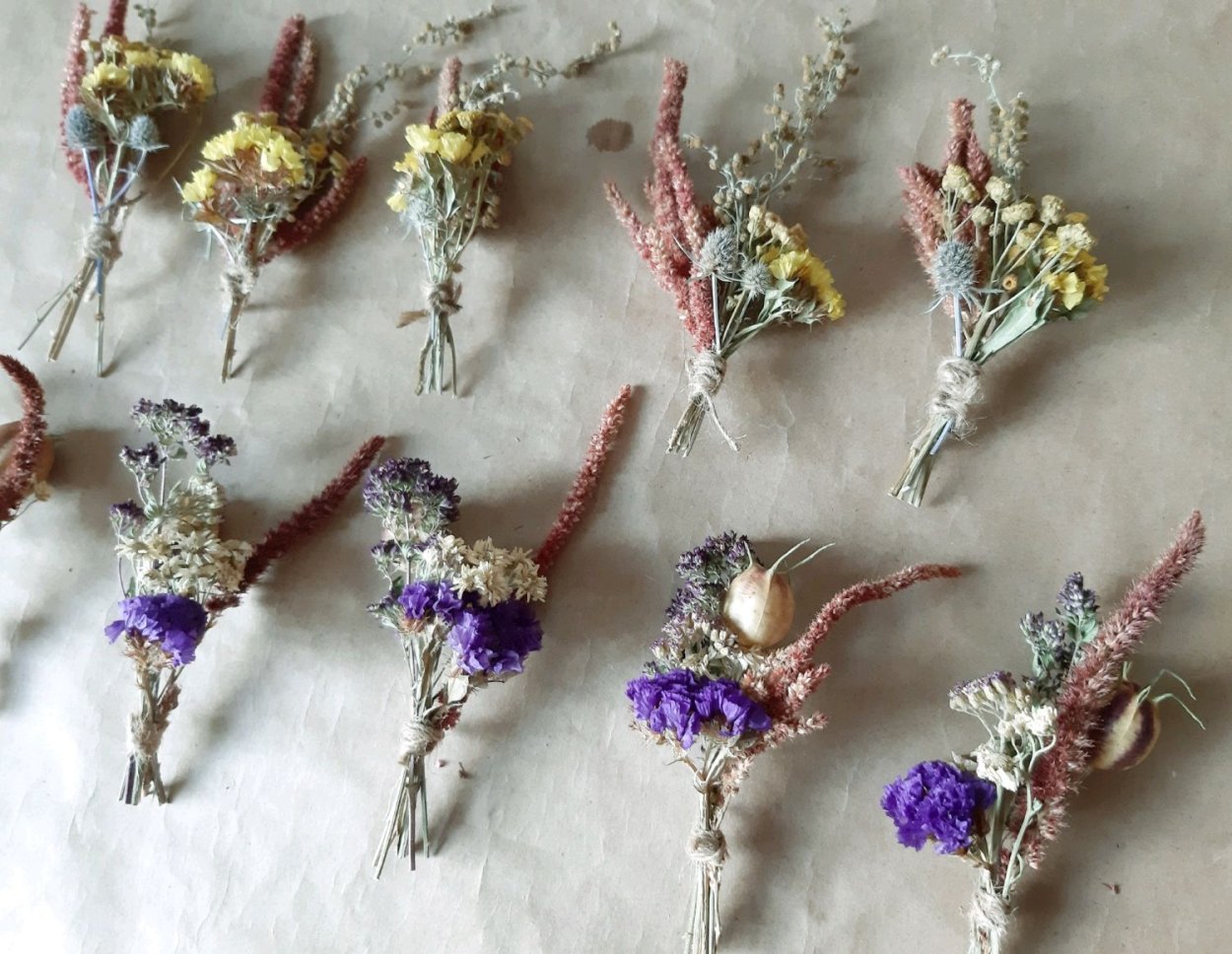 Засушенные астры Скандинавия