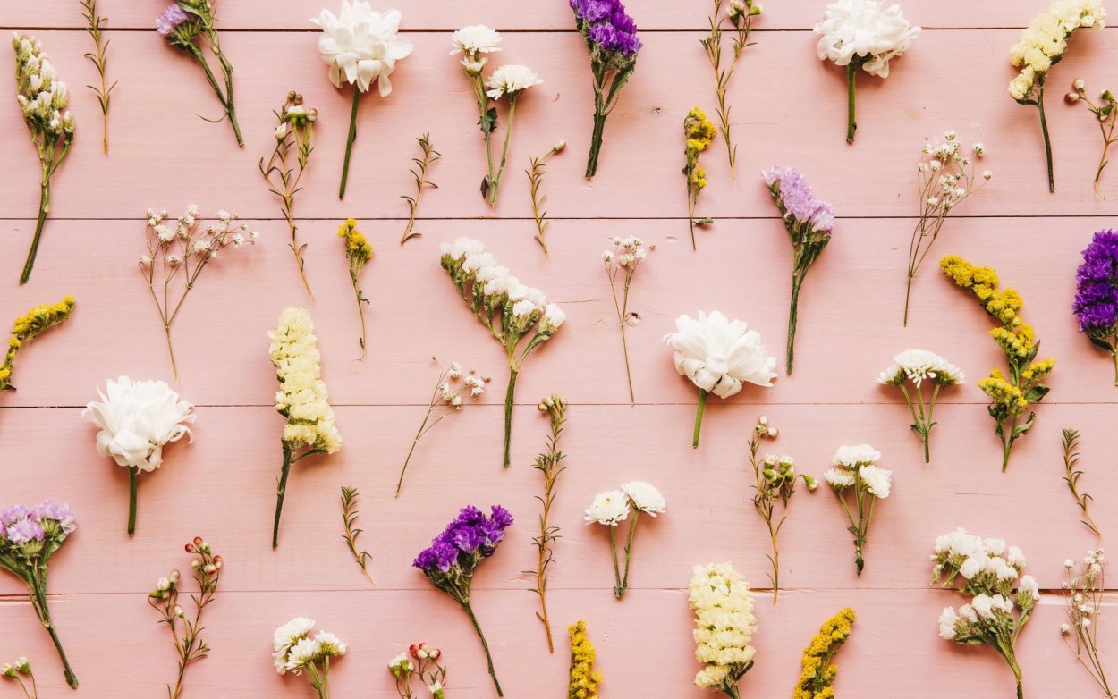 Фон из цветов