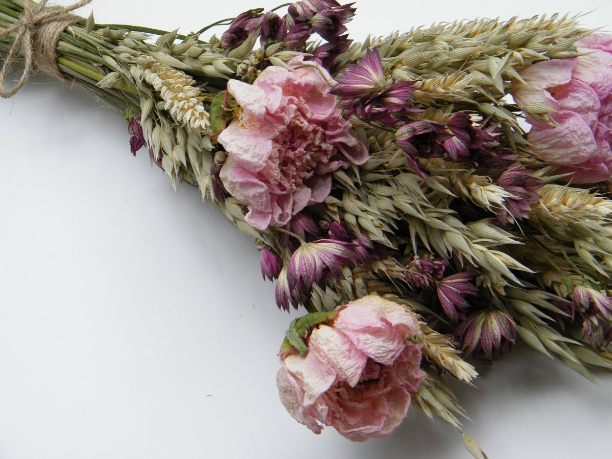 Dried Flowers сухоцветы