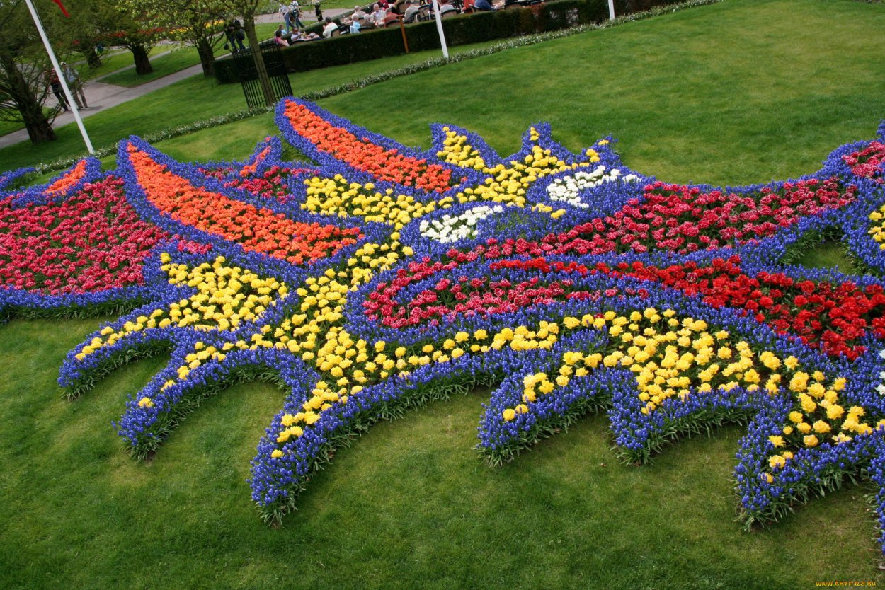 Разноцветные клумбы