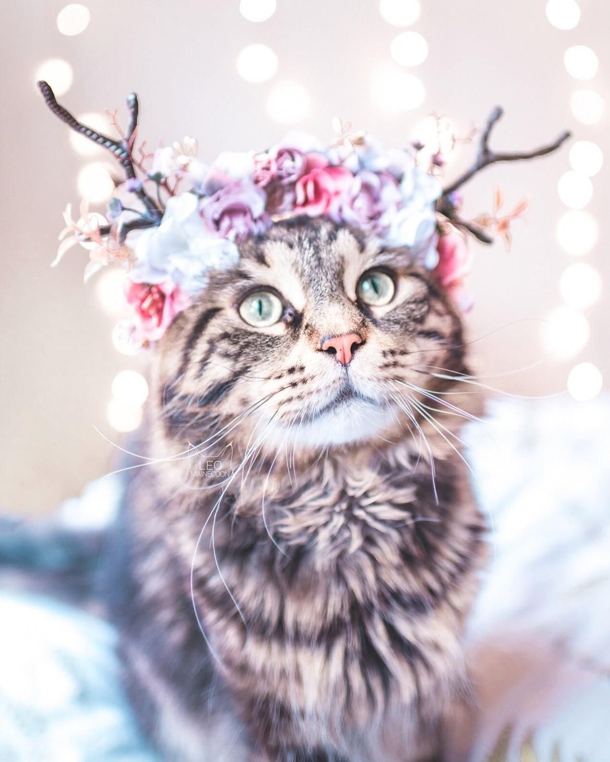 Такеда Хироки акварель