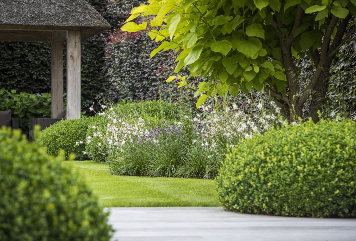 Голландский сад изгородь