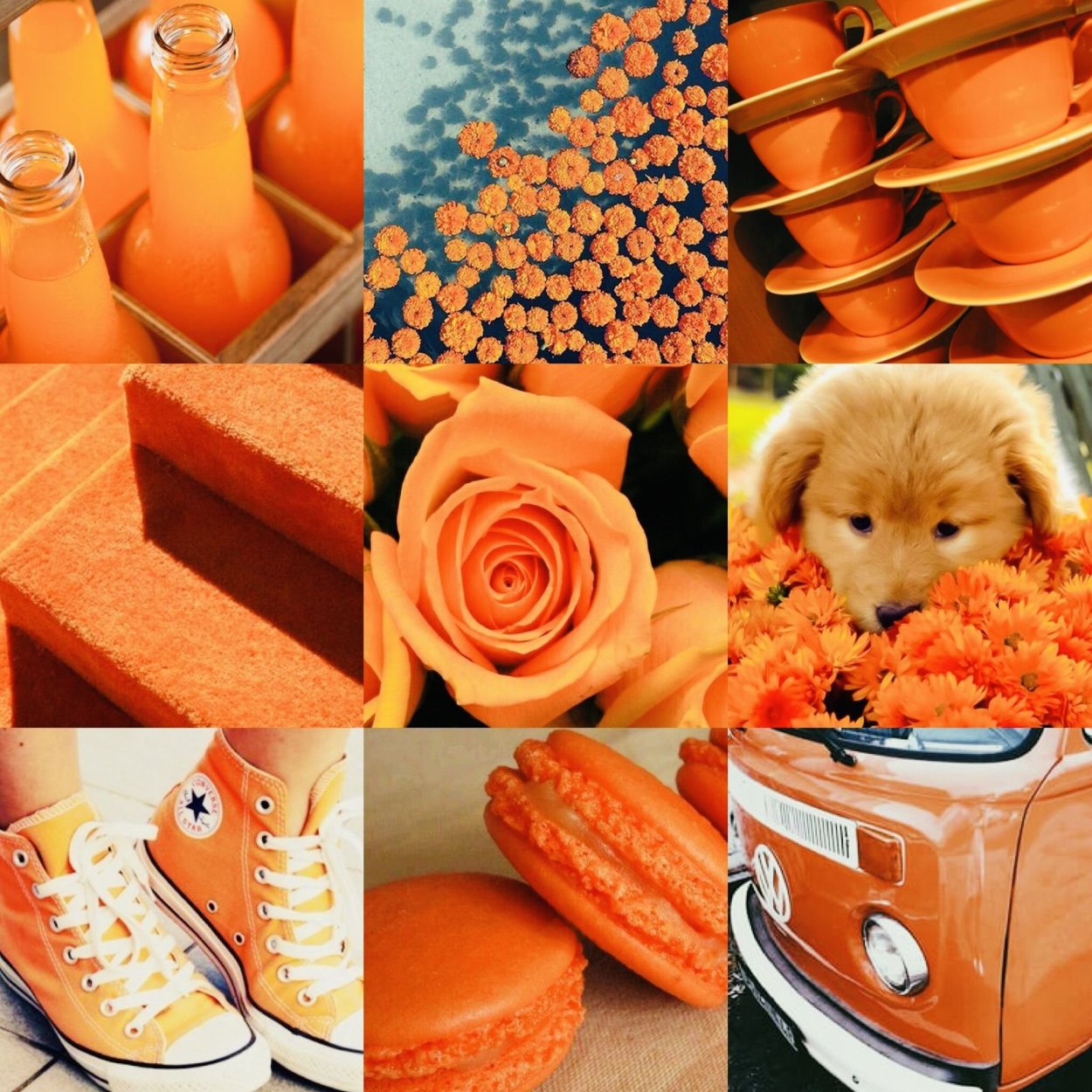 Пейтон Эстетика оранжевого