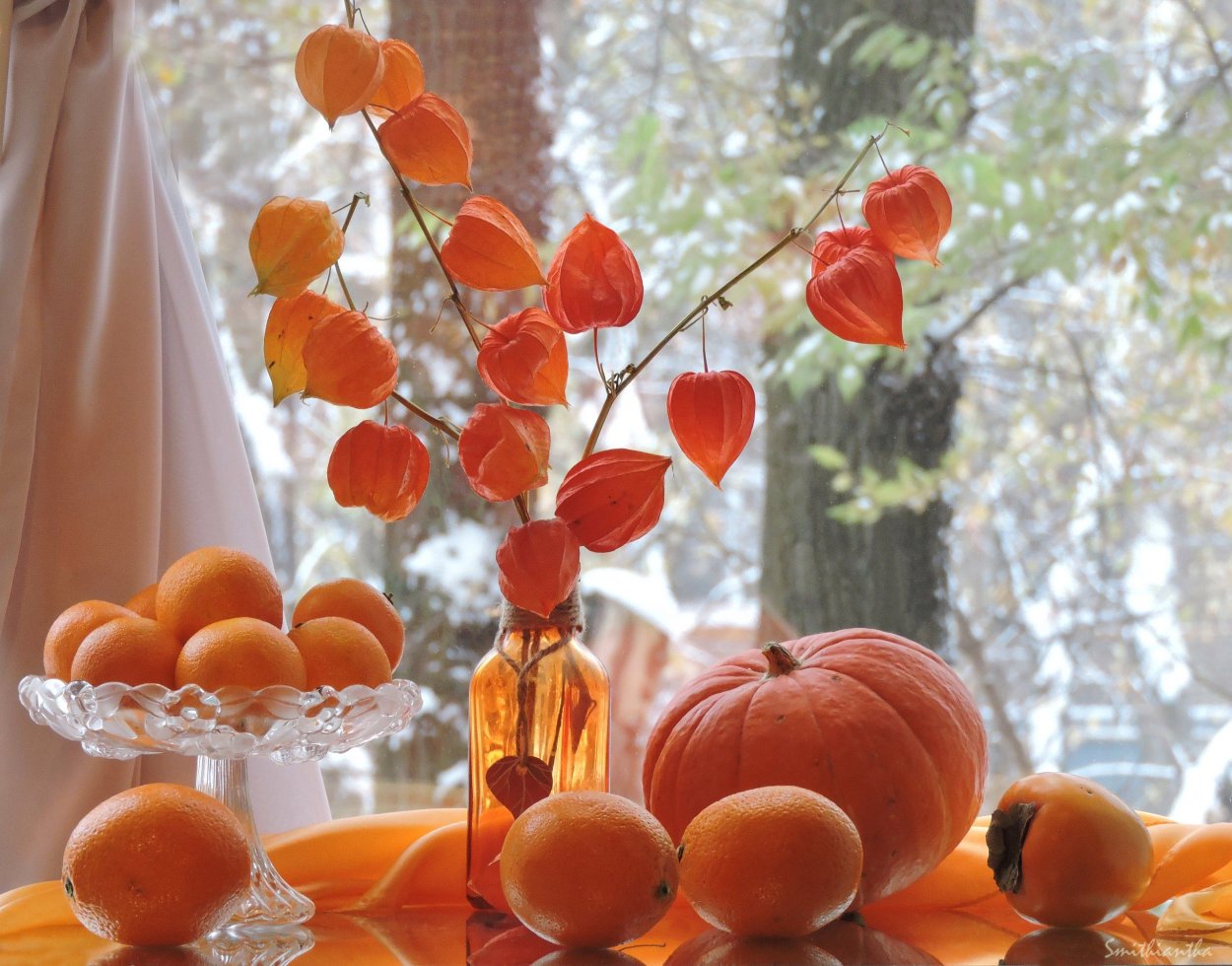 Эстетика оранжевого цвета