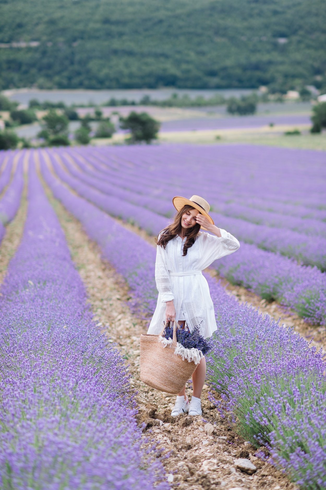 Стадии роста картофеля