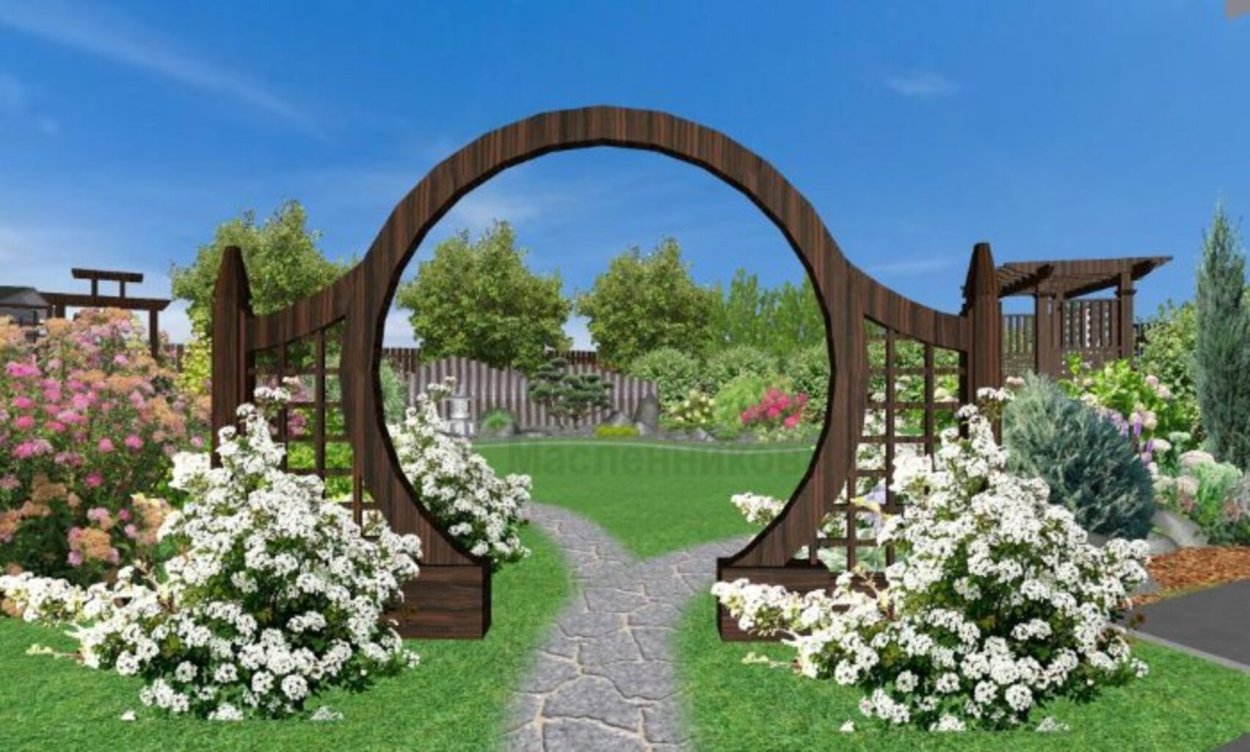 Самшит изгородь розарий