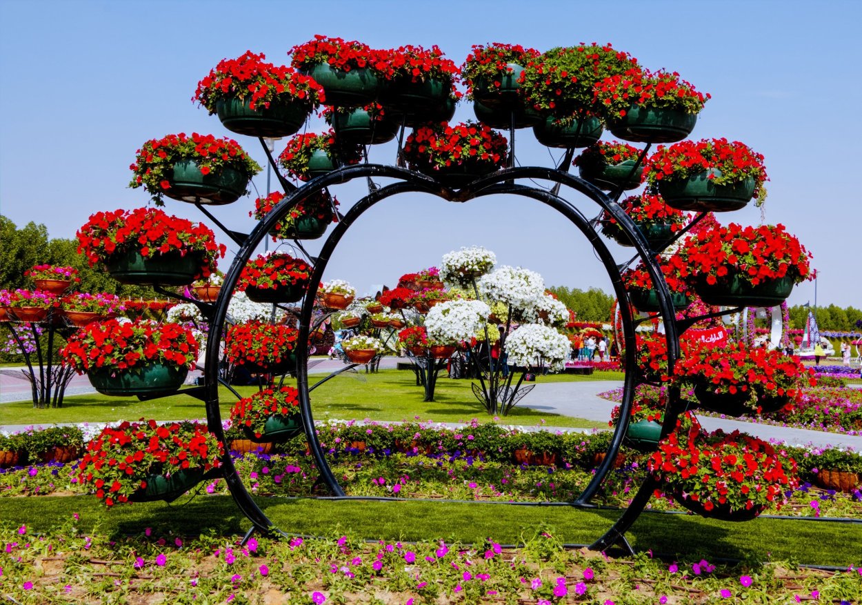 Вертикальное Озеленение Берсо