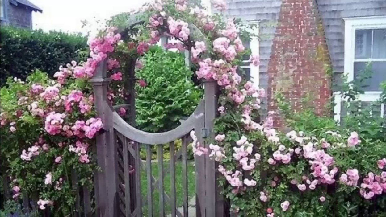 Каменный сад натуральный камень сад