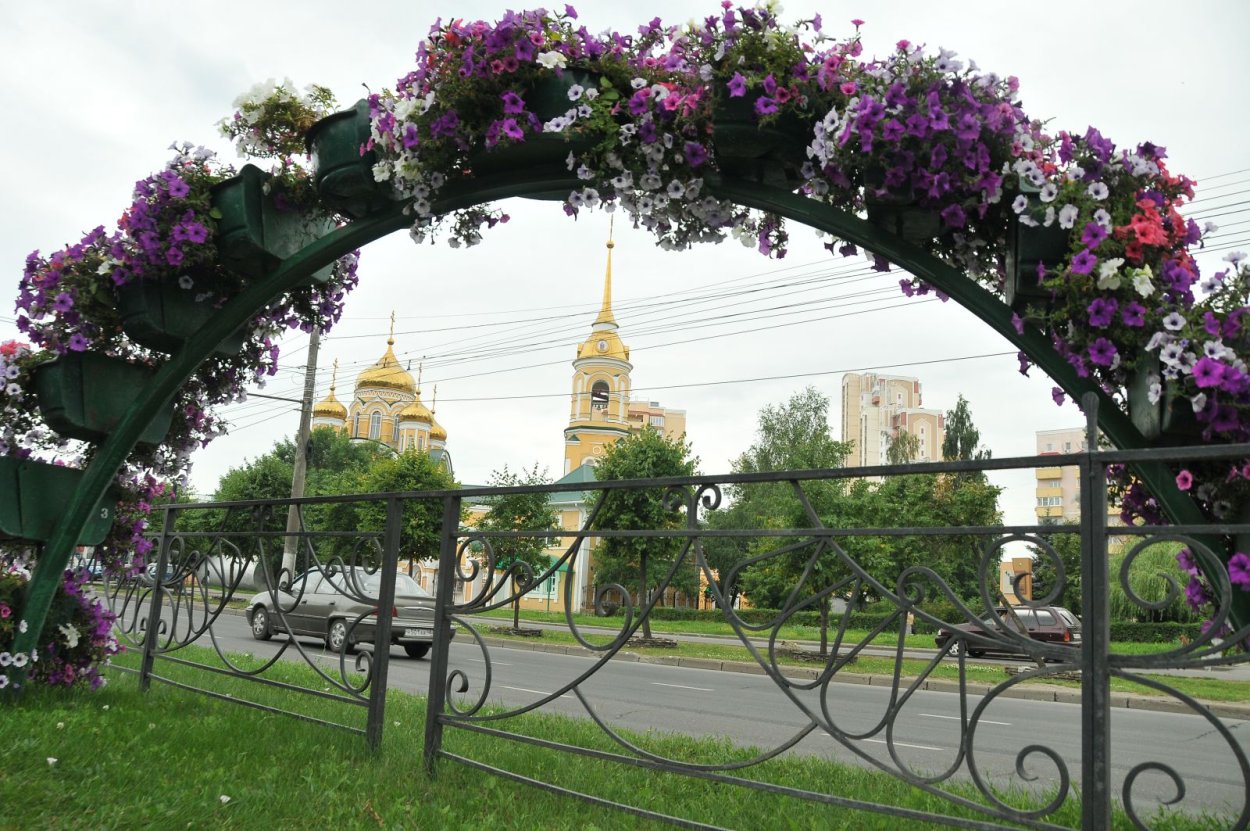 Миксбордер с плетистой розой