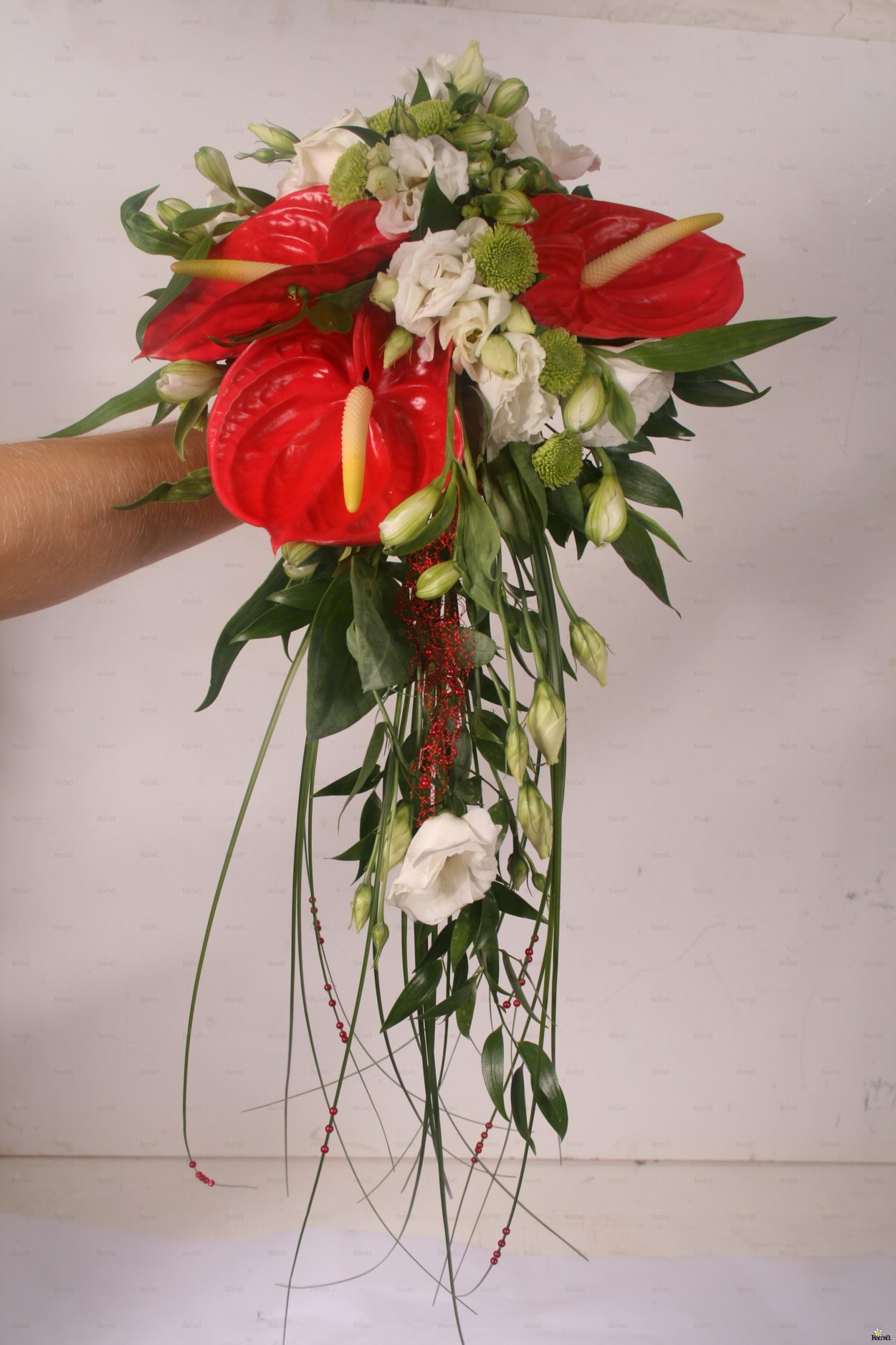 Букеты из роз красных и белых к 1 сентября