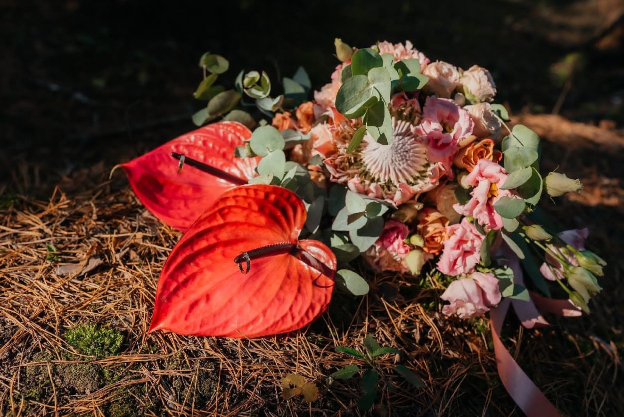 Антуриум амариллис