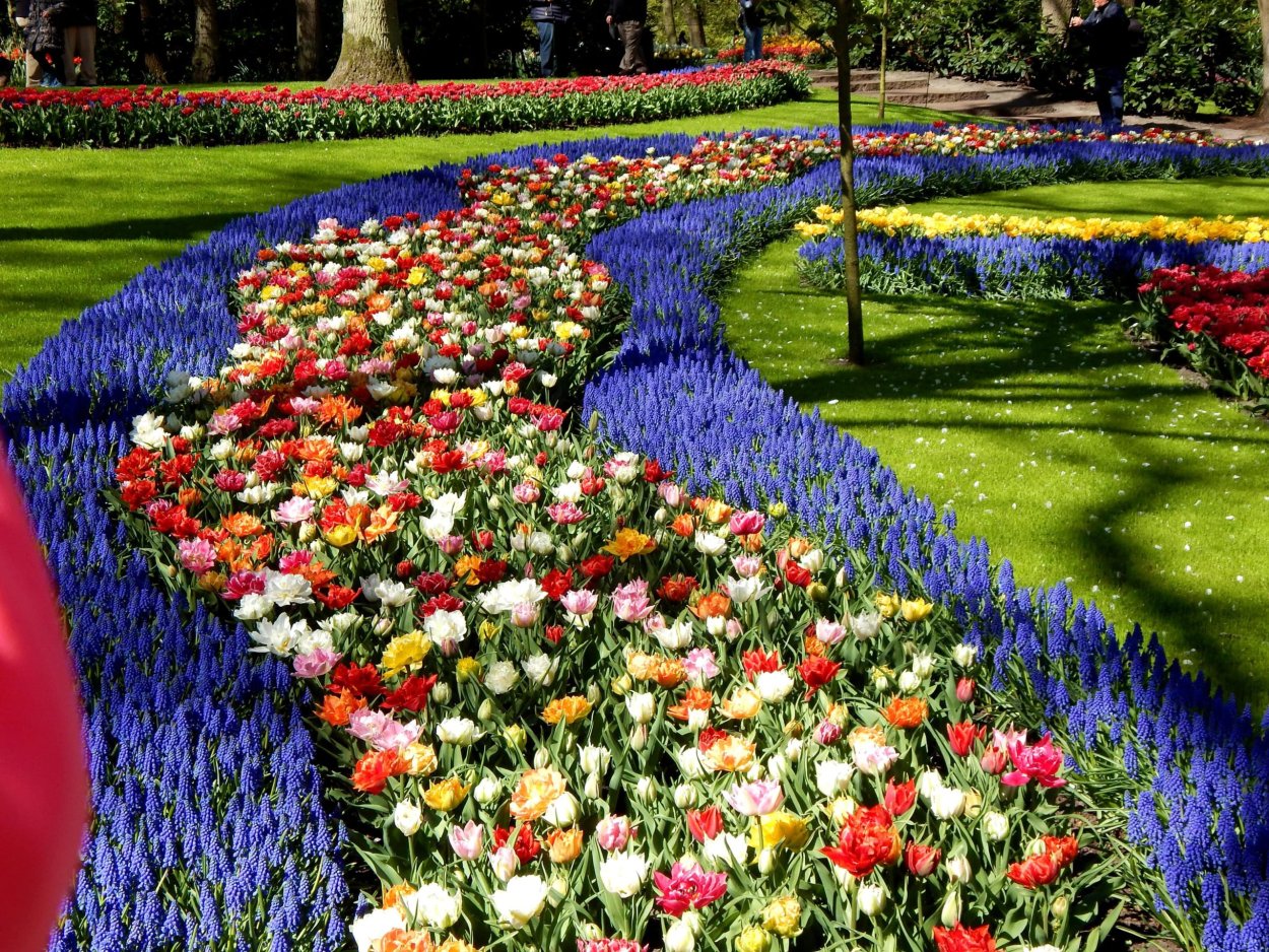 Кейкенхоф парк Нидерланды