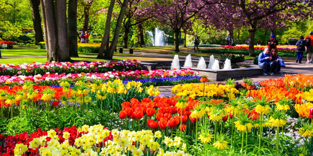 Голландия парк Вестброек