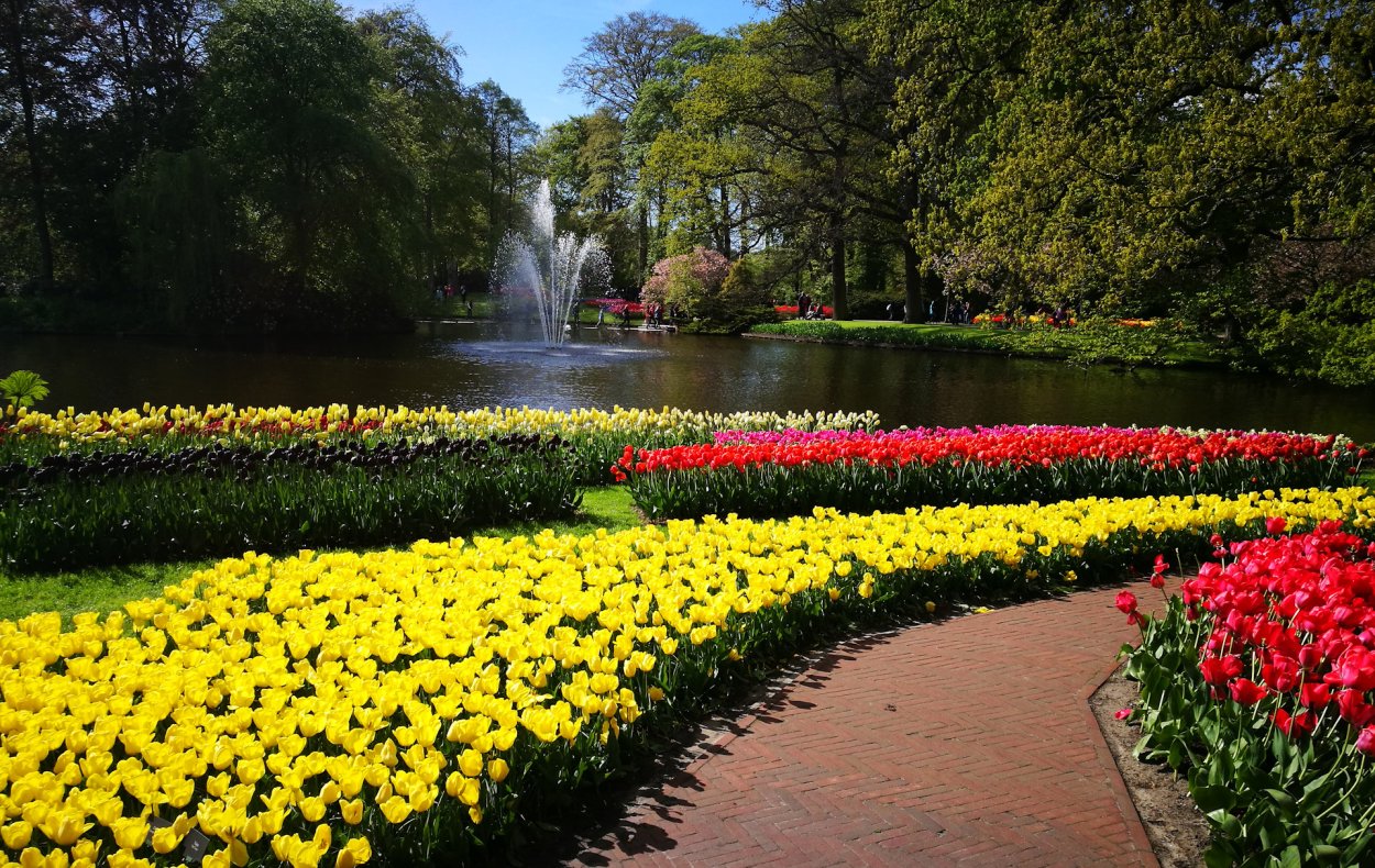 Парк-сад кёкенхоф в Лиссе.