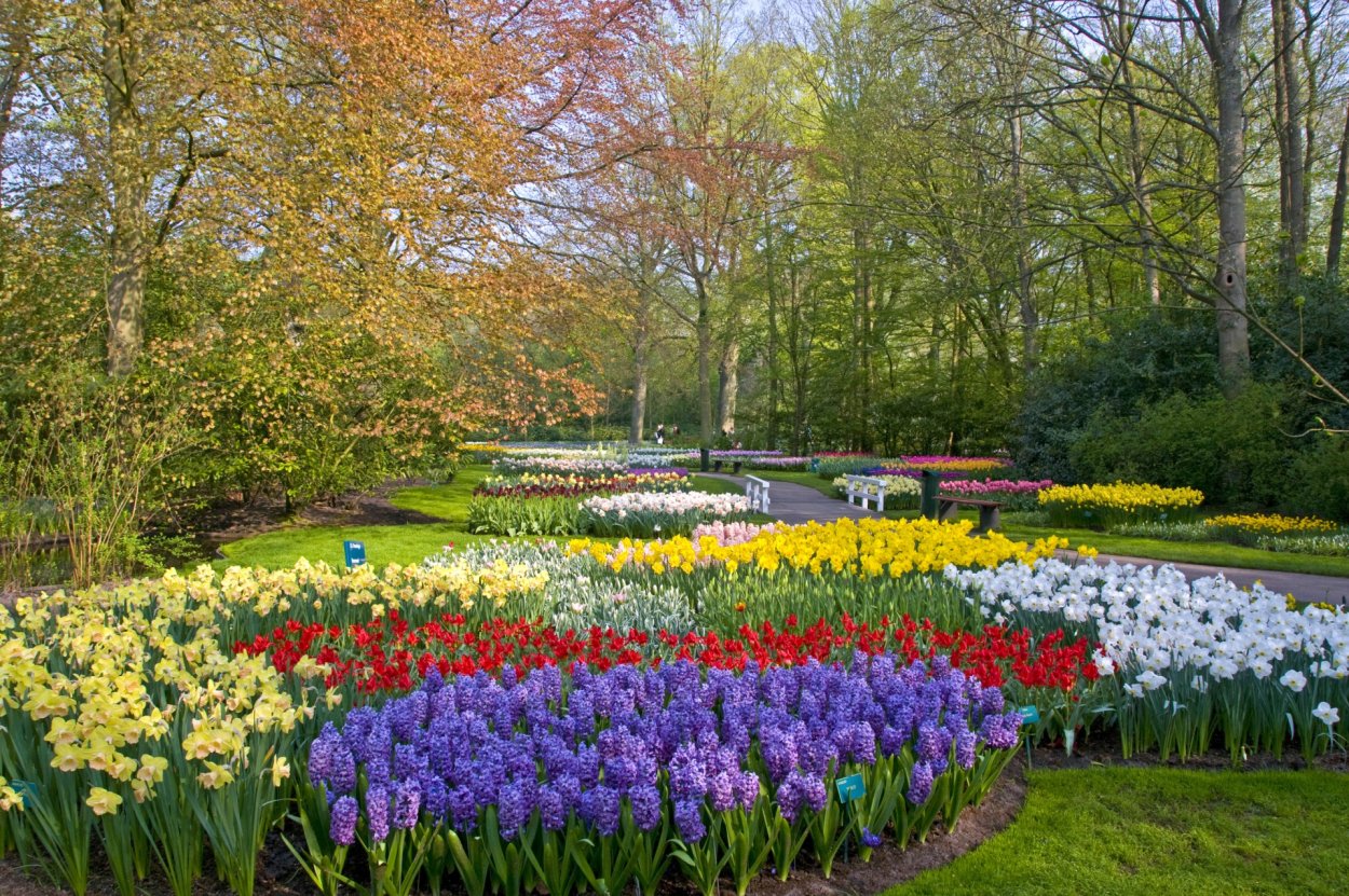 Парк Кейкенхоф, Голландия-