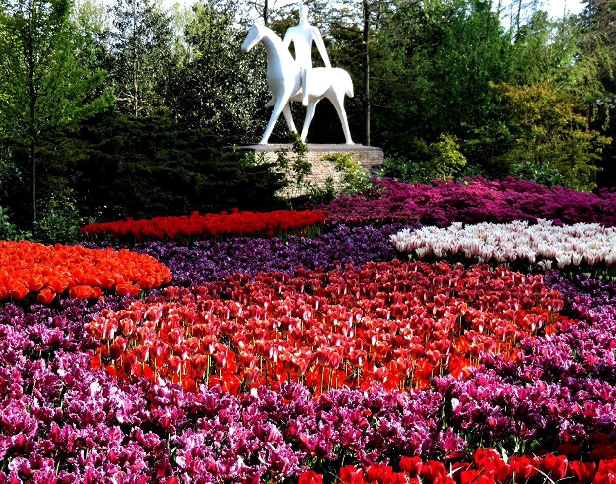 Кейкенхоф парк Нидерланды