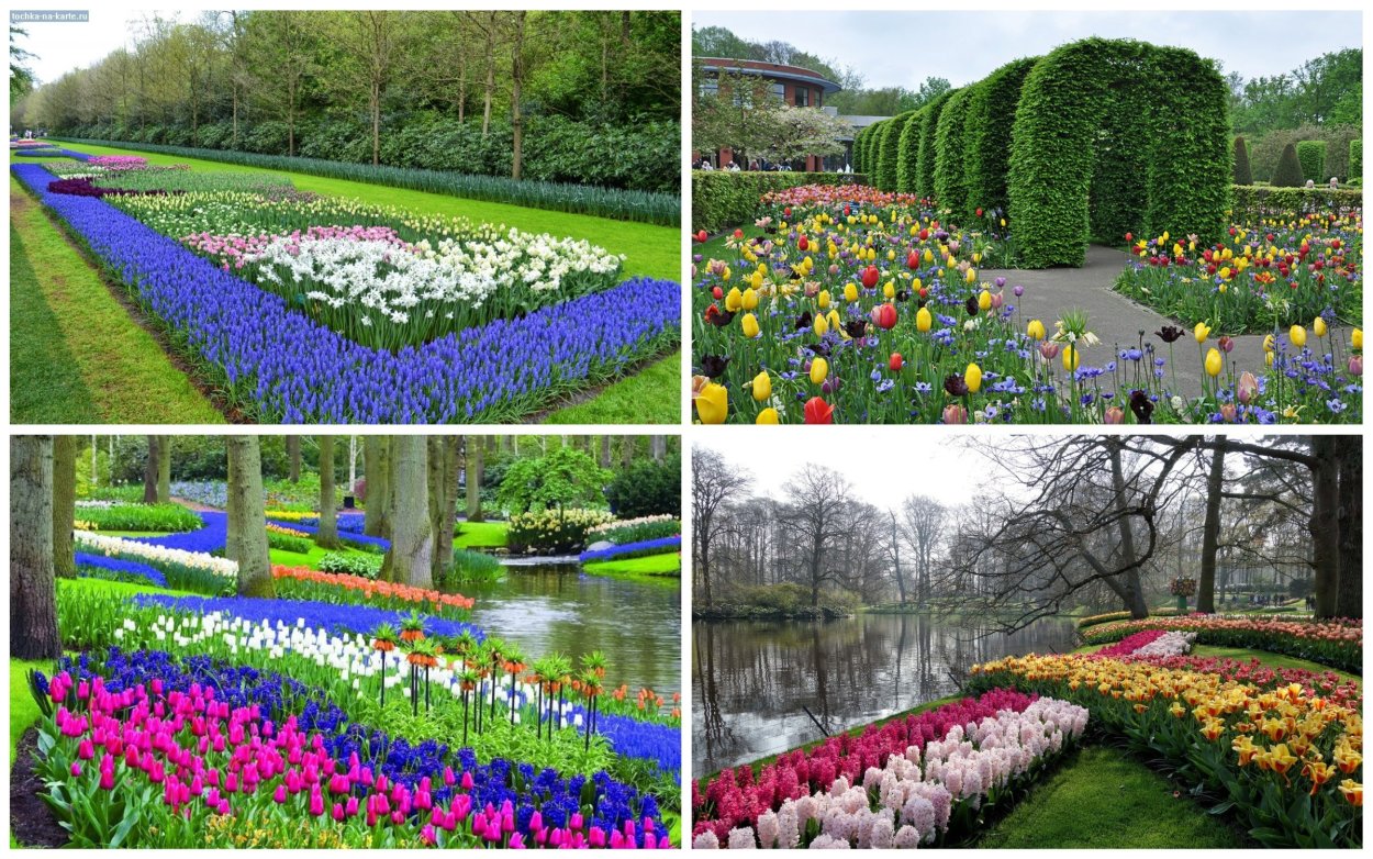 Кёкенхоф карта