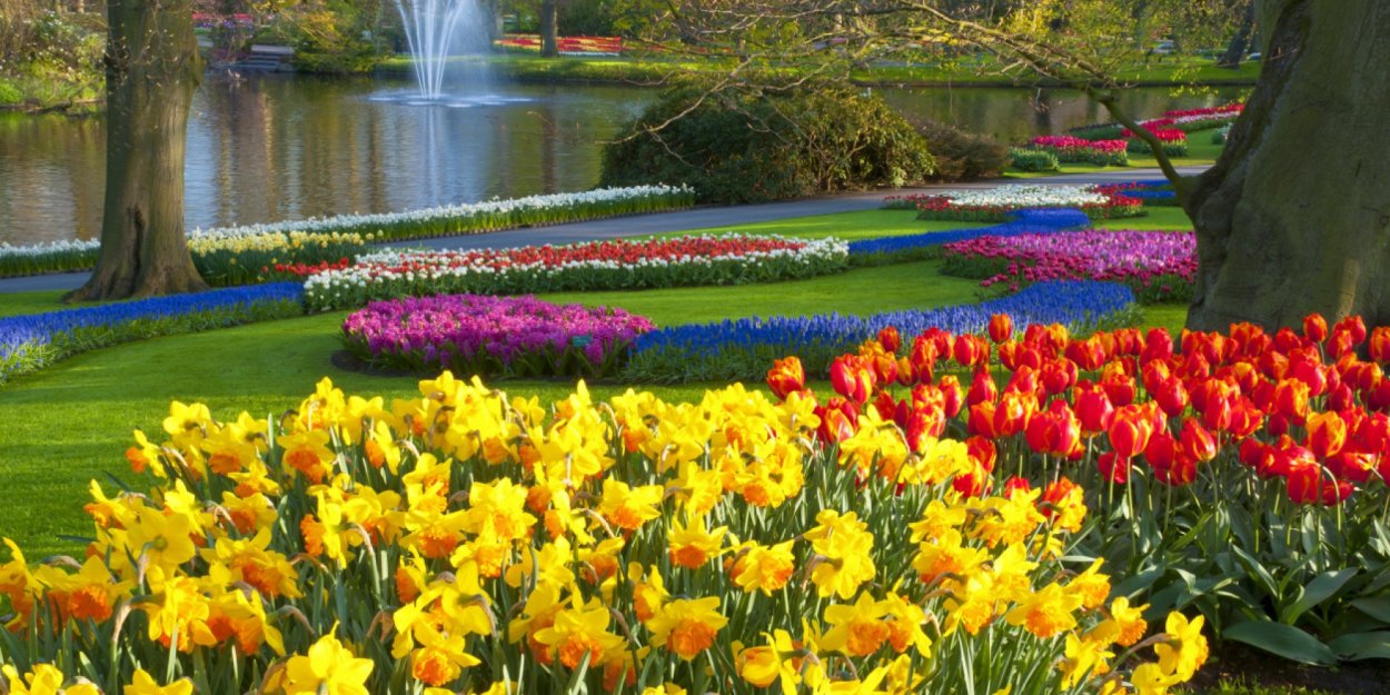 Королевский парк цветов кёкенхоф Весна