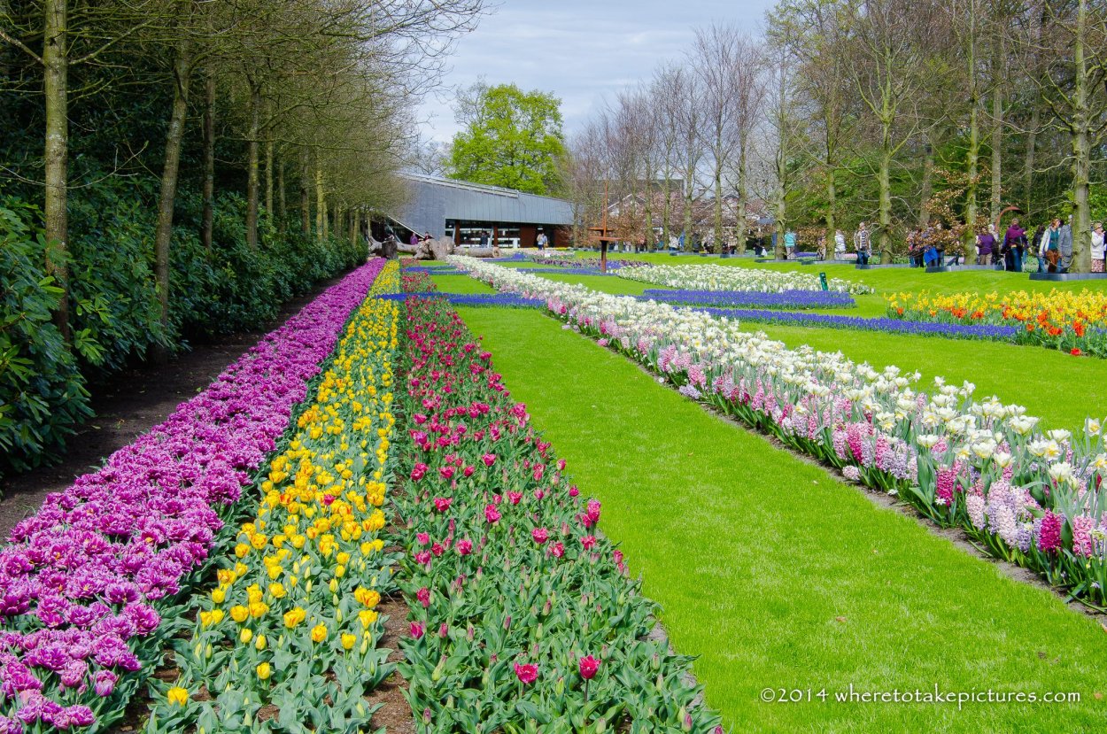 Кёкенхоф карта