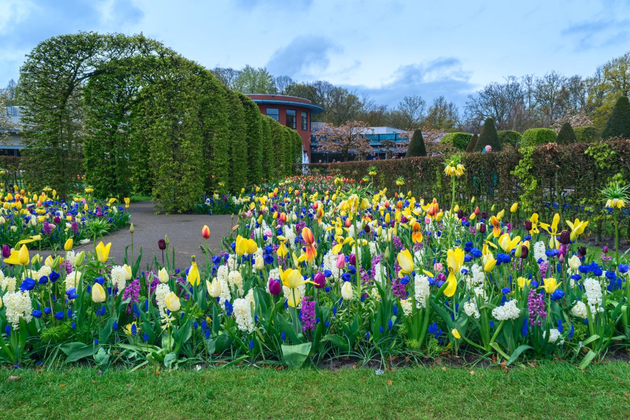 Парк в Голландии Кекенхоф