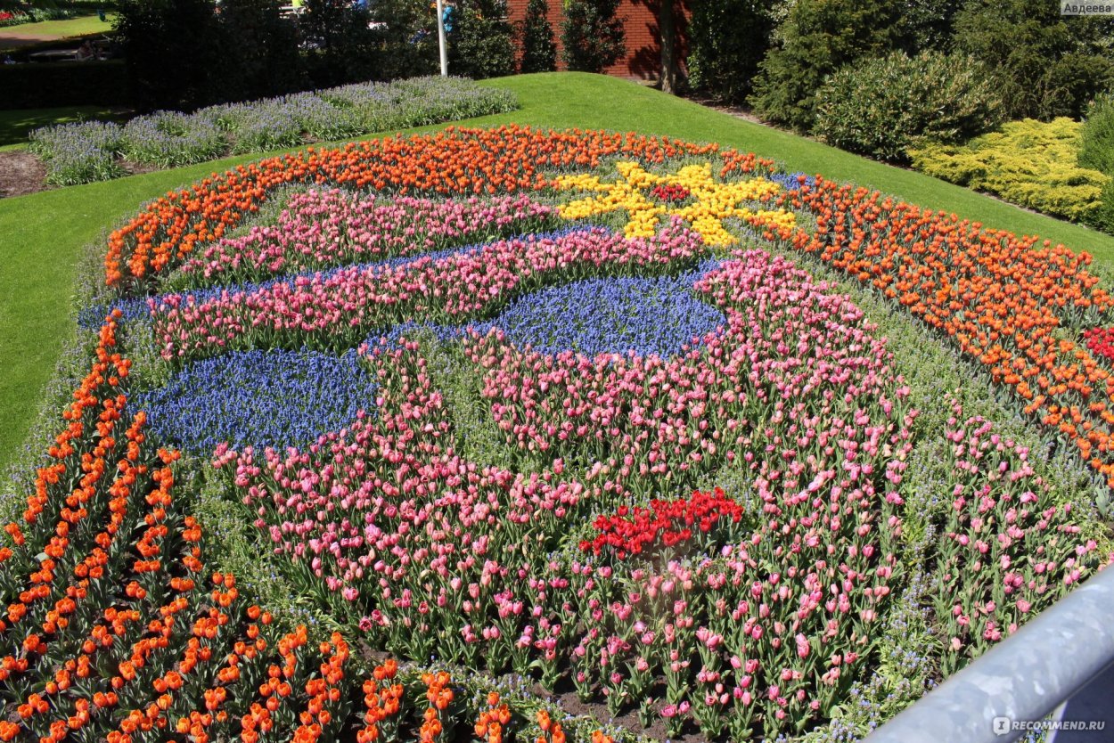 Парк цветов кёкенхоф план