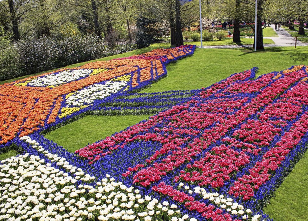 Парк кёкенхоф Нидерланды