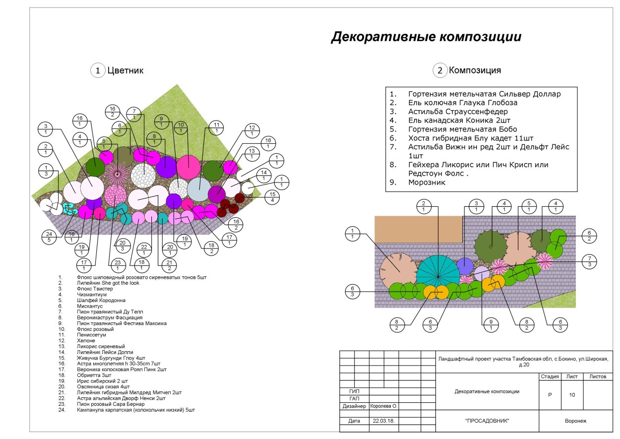 Схемы цветников с гортензией метельчатой