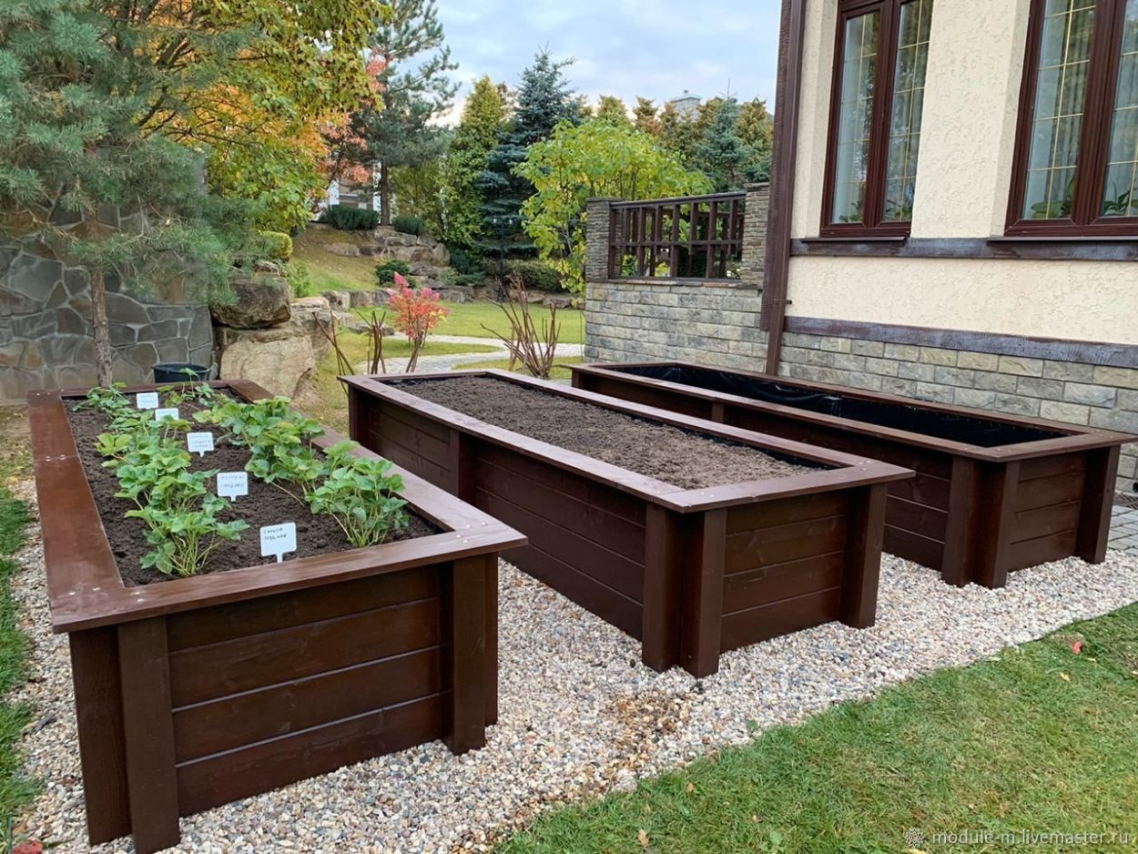 Клумба из пня