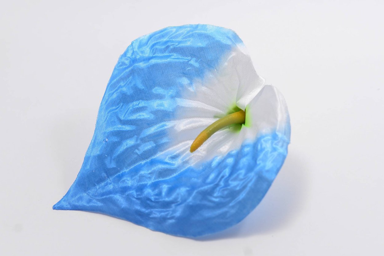 Антуриум синий