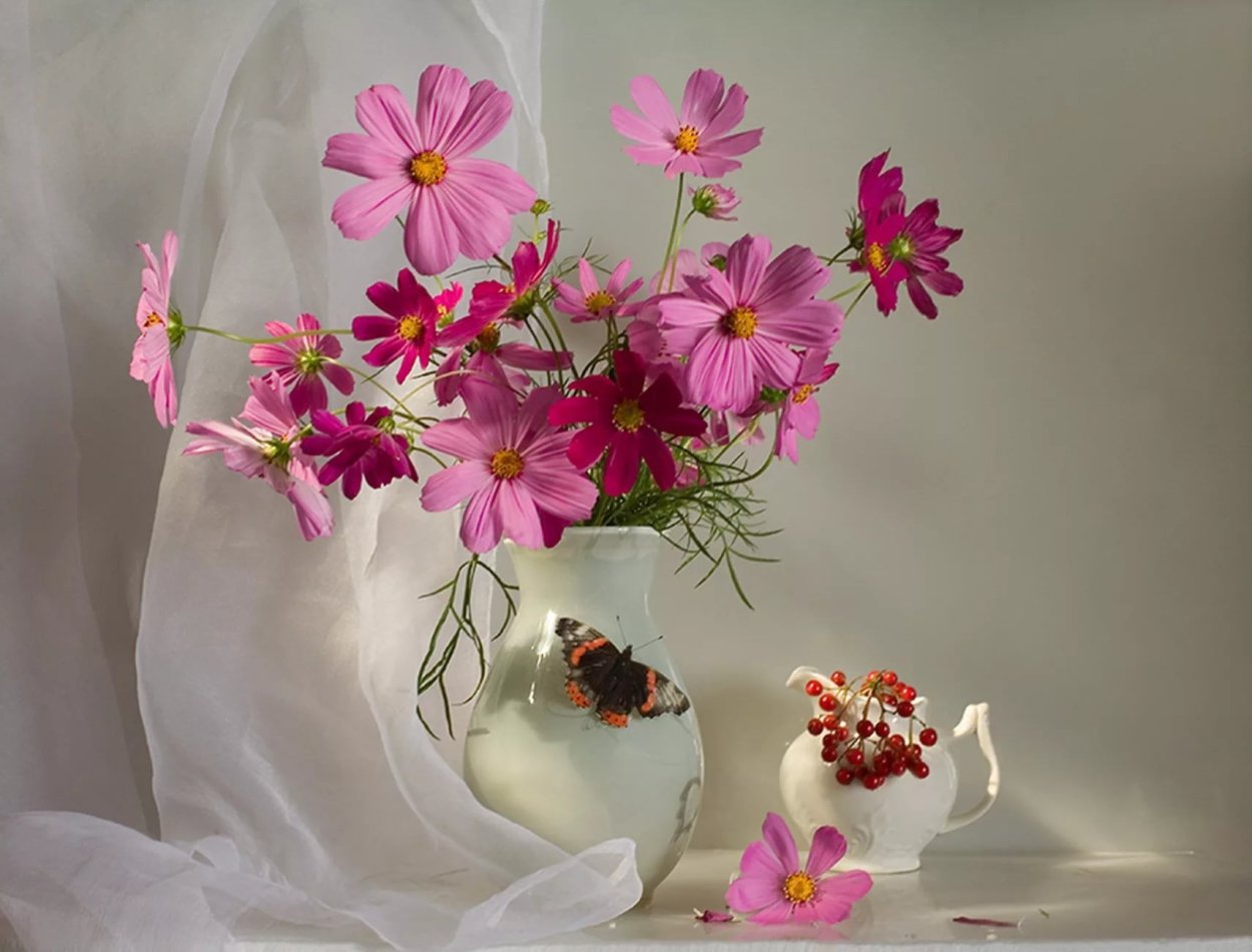 Космея Золотая свадьба