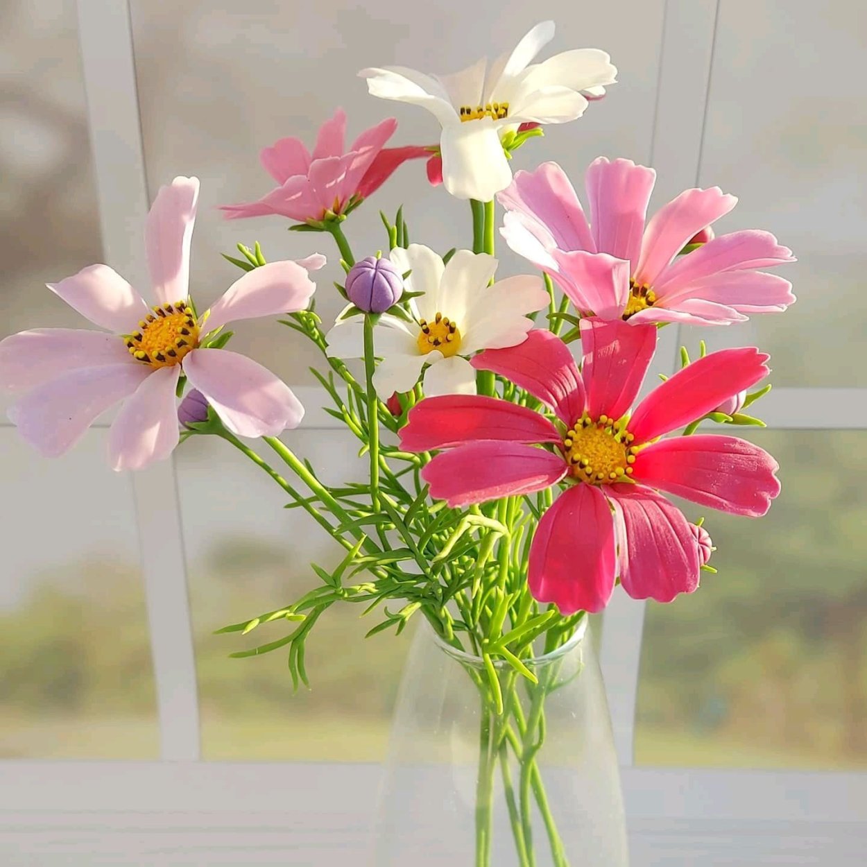 Космея Полидор