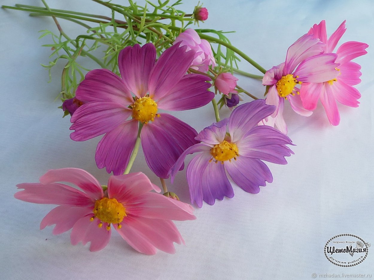 Космея бисер