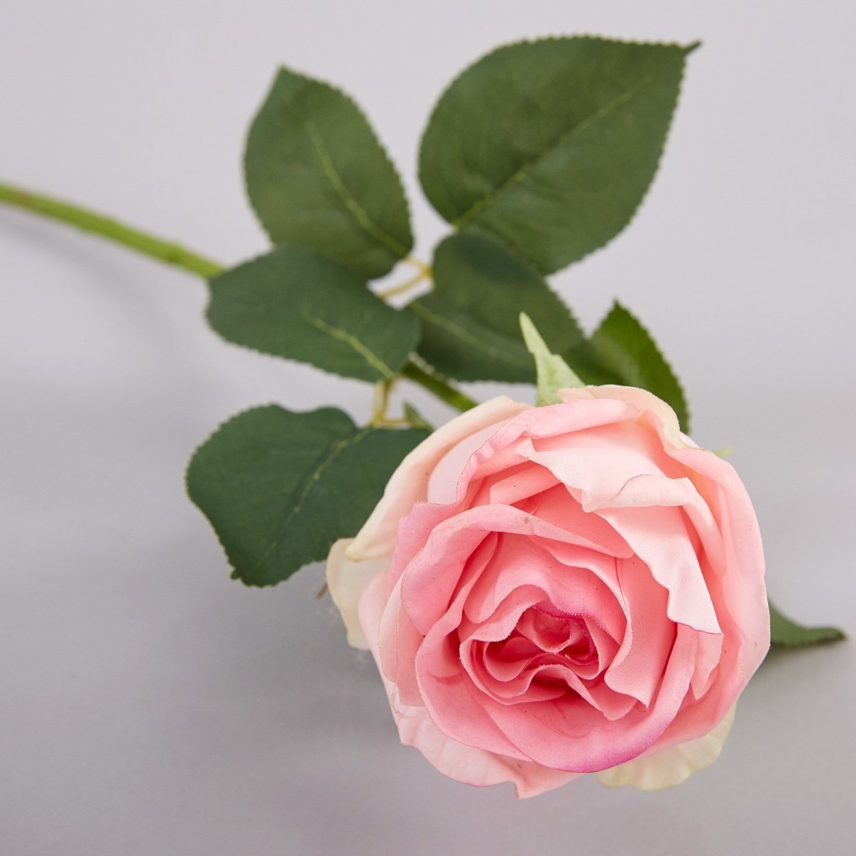 Один цветок очень красивый